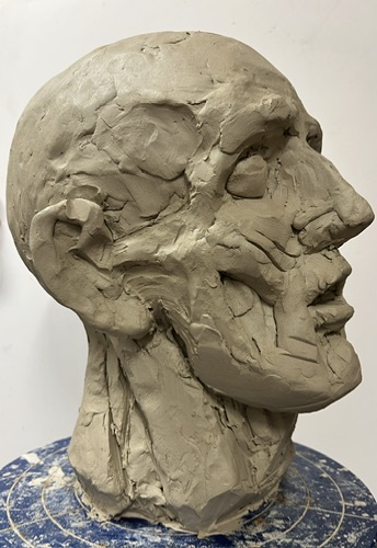 Anatomy